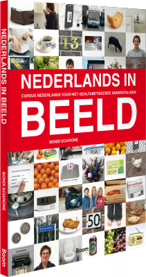 Cover Nederlands in beeld