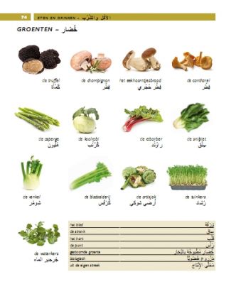 Beeldwoordenboek Nederlands/Arabisch - Slide 6