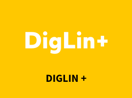 DigLin+