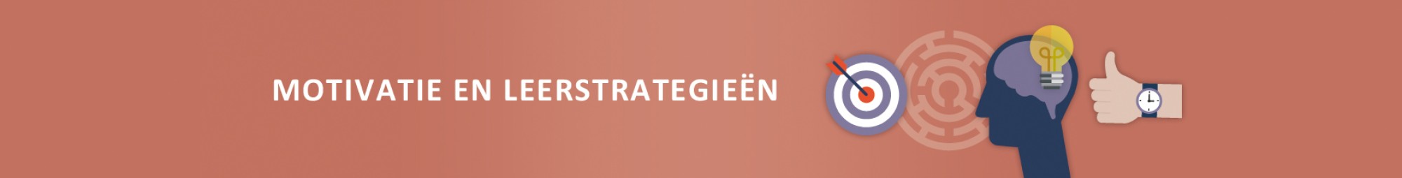 Motivatie en leerstrategieën