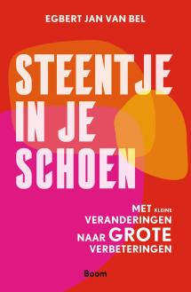 Steentje in je schoen 9789024450817