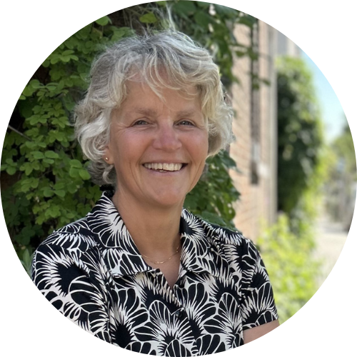 Remke van Staveren (co-dagvoorzitter)